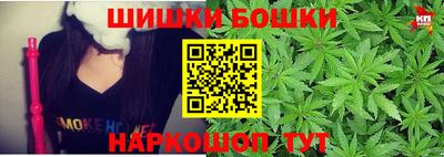 шишки Обь