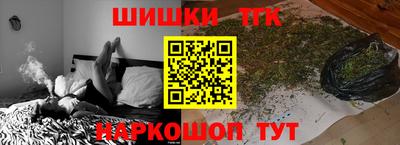 шишки Обь